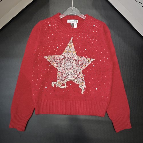 Dior Star Sequined Long Sleeve Pullover in Soft Fabric