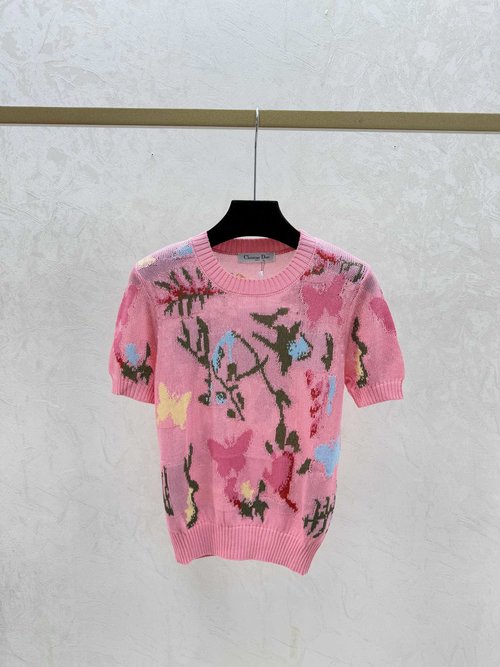 Dior Packaged Spring Contrast Butterfly Jacquard Round Neck T-Shirt