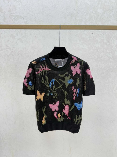 Dior Packaged Spring Contrast Butterfly Jacquard Round Neck T-Shirt
