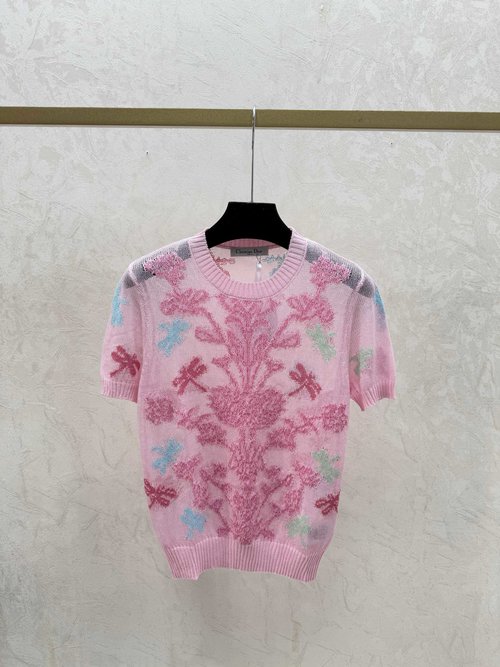 Dior Packaged Spring Contrast Dragonfly Jacquard Round Neck T-Shirt