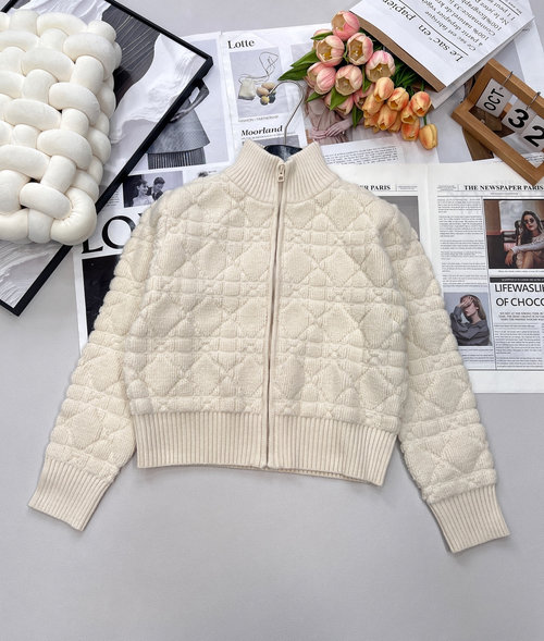Dior Woolen Zippered Cardigan with Rhombus and Butterfly Embroidery