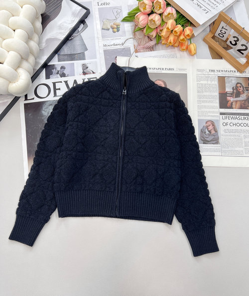 Dior Ribbed Collar Woolen Jacket with Butterfly Embroidery