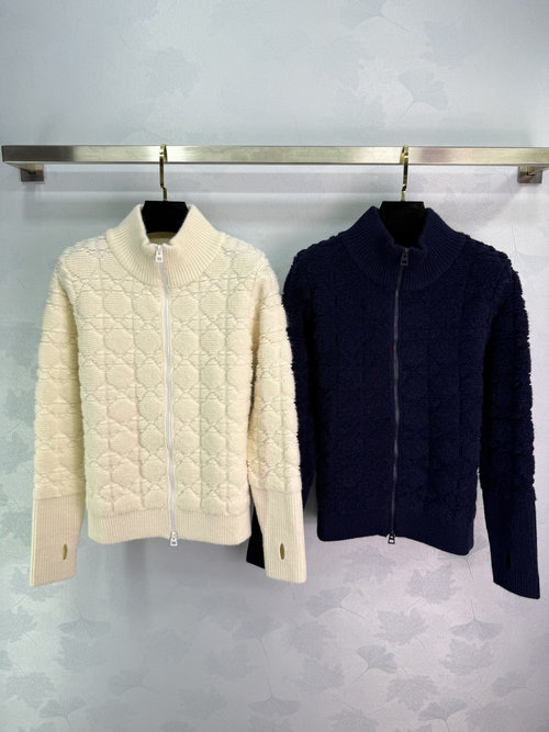 Dior Customized Wool Knit Stand - Collar Cardigan with Vine Pattern and Logo