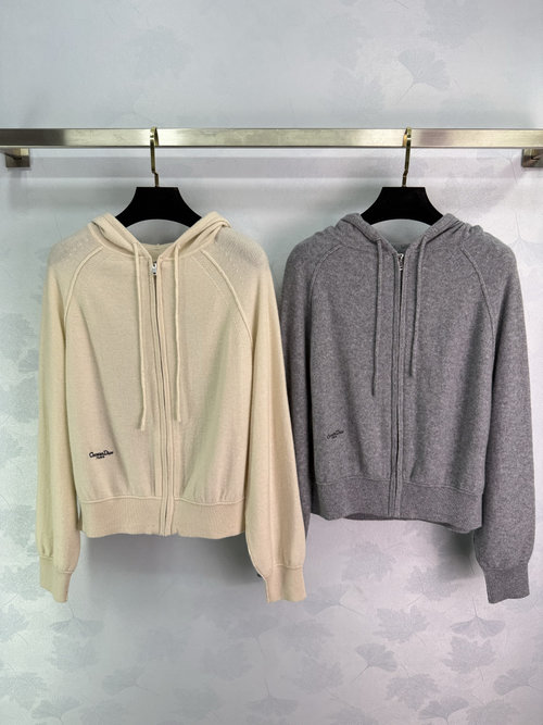 Dior Zip-Up Hooded Sweatshirt with Embroidered Butterfly on Back