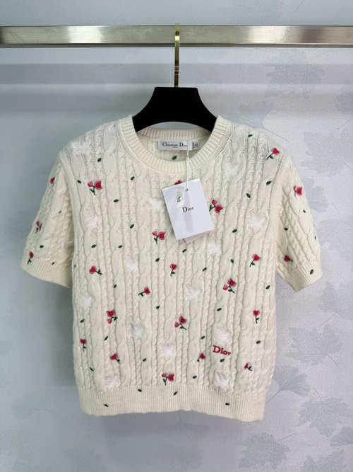 Dior Early Spring Rose Embroidery Short - Sleeve Knit Top with Cream - White Texture