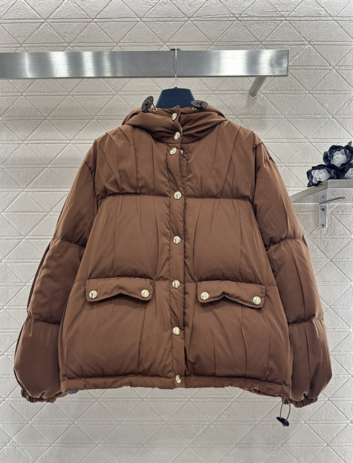 Louis Vuitton Customized Windproof Down Jacket with Fold Design and Logo