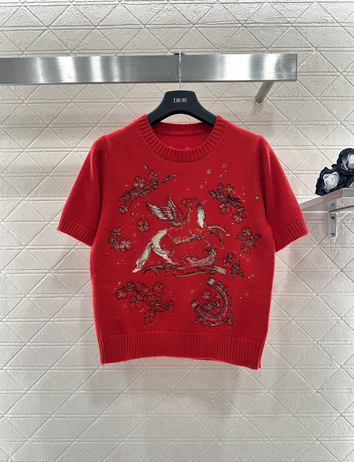 Dior New Year Embroidered Knit Short-Sleeve, Two Colors