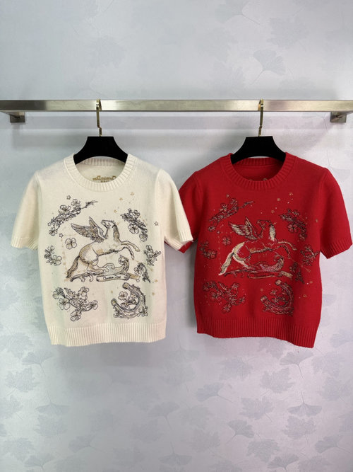 Dior Embroidered Cashmere Knit Short Sleeve, Displaying Artistry