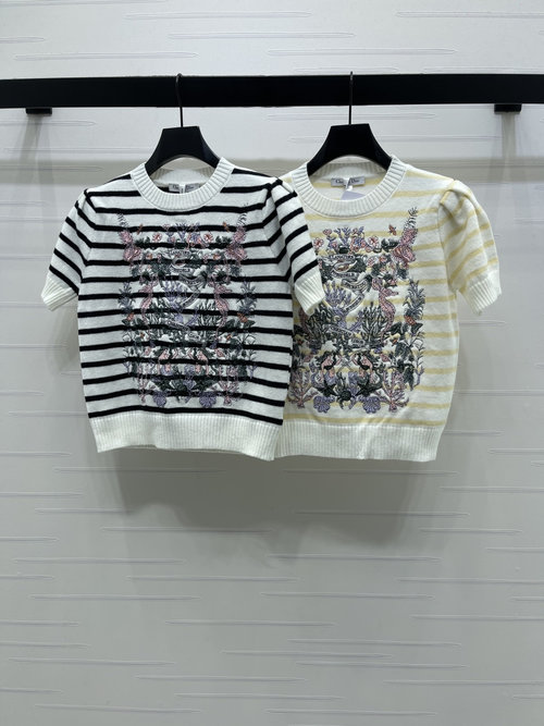 Dior Premium Knit Short Sleeve with Colorful Embroidery