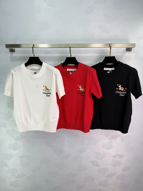 Dior Whimsical Embroidery Knit Short Sleeve for Daily