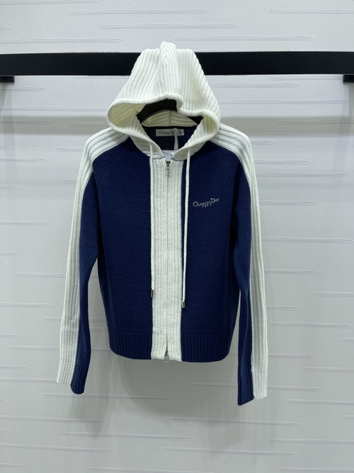 Dior Hooded Zip-up Sweater with Logo Embroidery