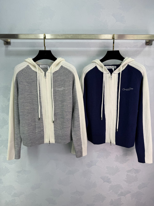 Dior Logo Embroidered Hooded Zip-Up Raglan Sweater
