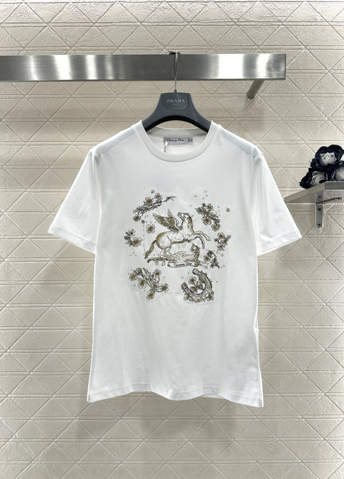 Dior Embroidered Flying Horse Logo Cotton T-Shirt with Pattern