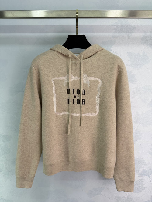 Dior Hooded Sweatshirt with Front Logo in Wool