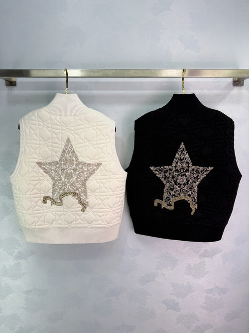 Dior Stylish Versatile Star - Embroidered Knit Vest