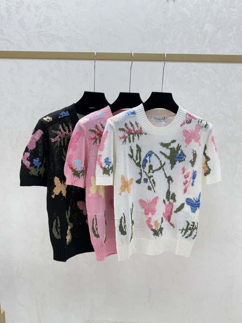 Dior Packaged Spring Contrast Butterfly Jacquard Round Neck T-Shirt
