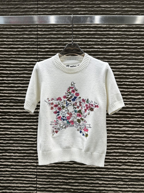 Dior Heavy-Duty Needle Embroidery Wool Short Sleeve