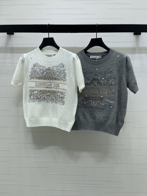 Dior Brand Logo Embroidered Pullover Knitted Short Sleeve