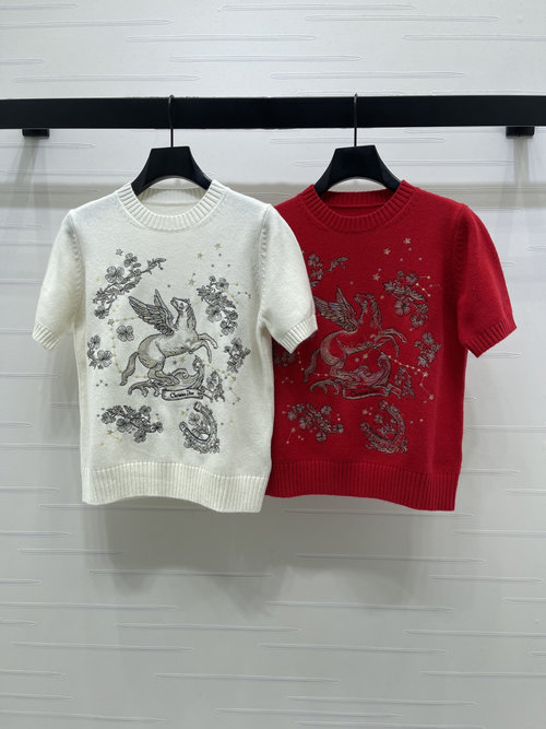 Dior Early Spring Embroidered Knit Short Sleeve with Oriental Charm