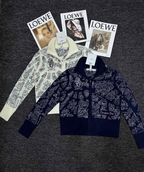 Dior Exquisite Embroidery - Collared Zipper Cardigan for Sophistication