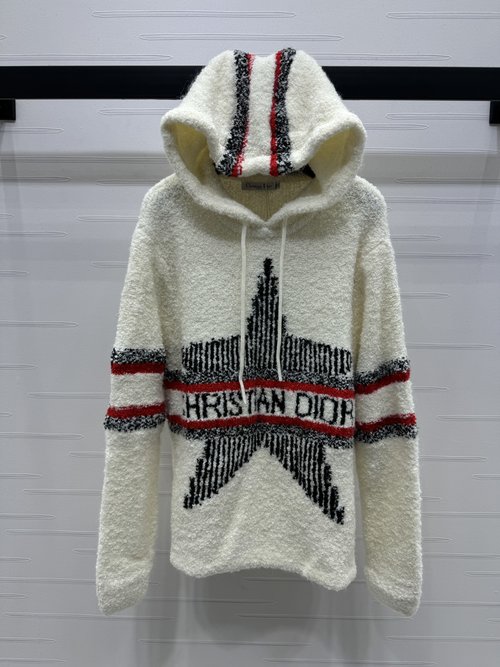 Dior High-End Teddy Loop Wool Knit Star Printed Hoodie