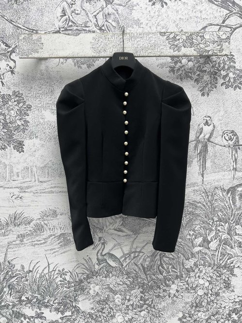 Dior Stand-up Collar Single-breasted Jacket