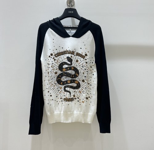 Dior Dior Snake Print Hoodie, Stylish and Auspicious Look