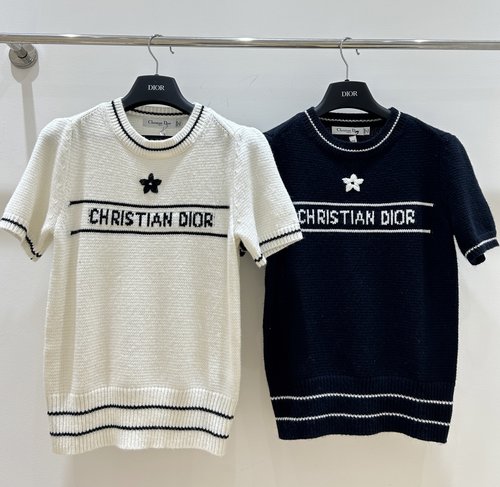 Dior Fashionable Star Embroidery Short-sleeved Top
