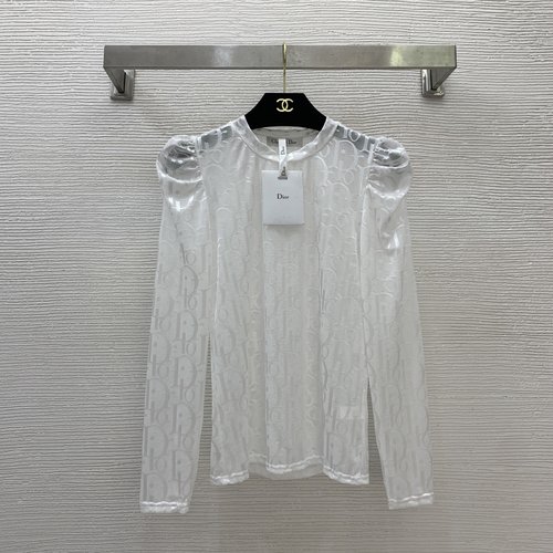 Dior Transparent Mesh Long Sleeve Top with Ruffled Sleeves