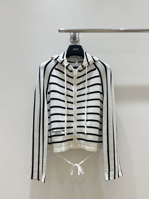 Dior Letter Embroidered Striped Hooded Zip - Up Jacket