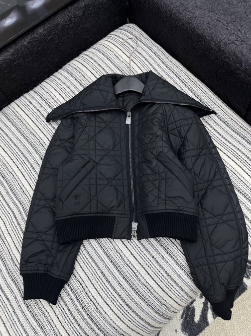 Dior Double-Zipper Quilted Down Jacket with Bee Embroidery, Soft and Stylish