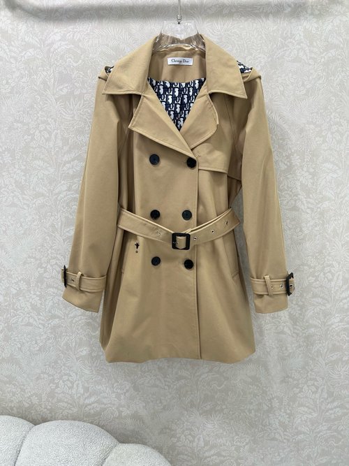 Dior Oversized Hooded Trench Coat with Bee Embroidery and Classic Monogram Lining