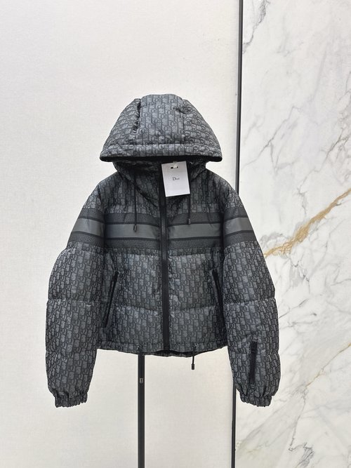 Dior Elegant Ski Series Down Parka, Warm and Stylish