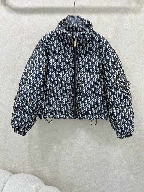 Dior Trendy Hooded Down Jacket with Full D Letter Jacquard