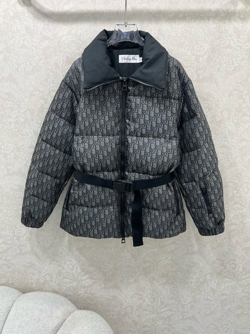 Dior Upgraded CD Ski Series Down Jacket with Oblique Jacquard and Bee Embroidery