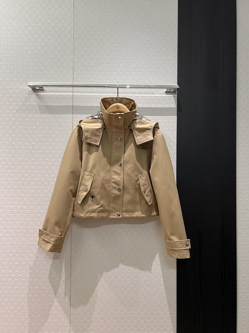 Dior Classic Stand-Up Collar Hooded Jacket with Detachable Hat