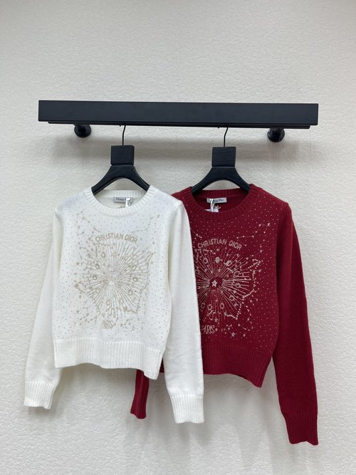 Dior Heavy Embroidery Crew Neck Sweater with Thread Edging