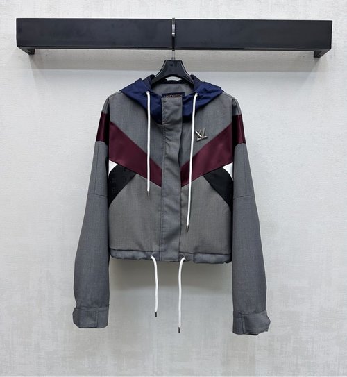 Louis Vuitton Trendy Hooded Logo Jacket for a Stylish Outfit