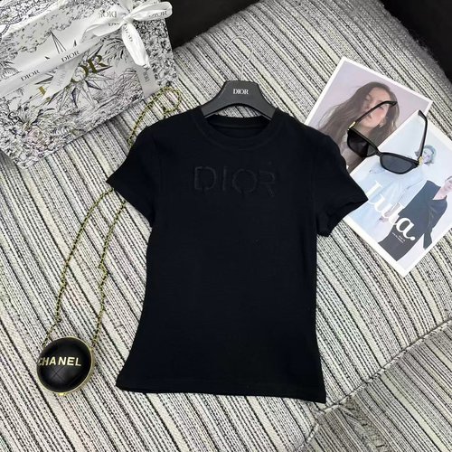 Dior Early Spring Embroidered Letter Round Neck Short Sleeve T-Shirt