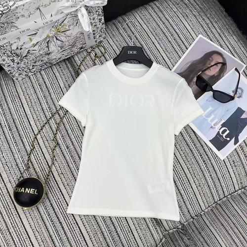 Dior Early Spring Embroidered Letter Round Neck Short Sleeve T-Shirt