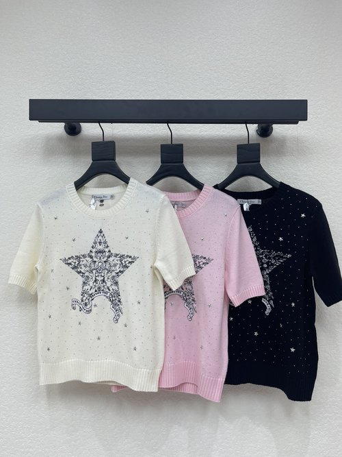 Dior Wool Knit Short Sleeve Sweater with Star Drill Embroidery