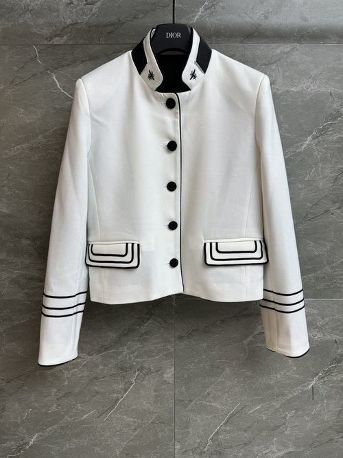 Dior Embroidery Stand-Up Collar Jacket, Trendy Look