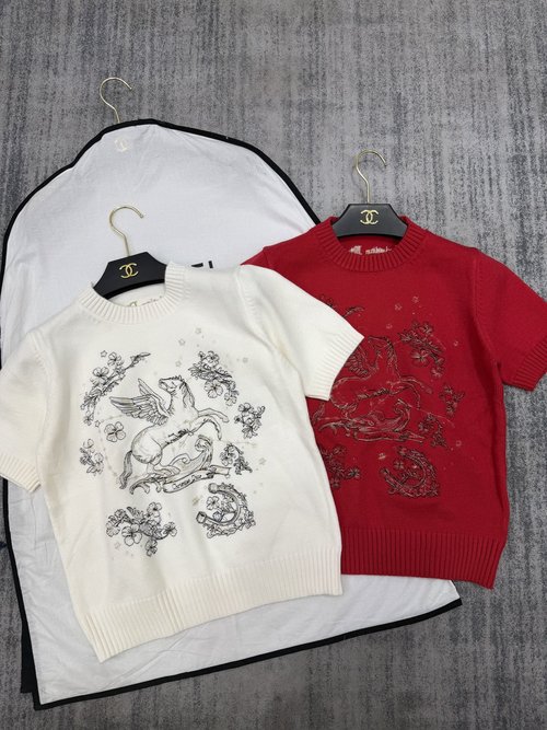 Dior Dior-Inspired Heavy-Duty Knit: Pegasus Embroidery