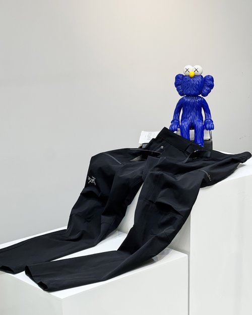 ArcTeryx All-Weather Quick-Dry Pants for Climbing and Hiking