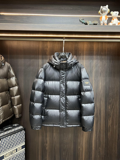 Dior Hooded Jacket Filled with 90% White Goose Down