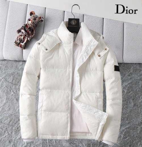 Dior Premium Down Jacket with Logo and Color Blocks