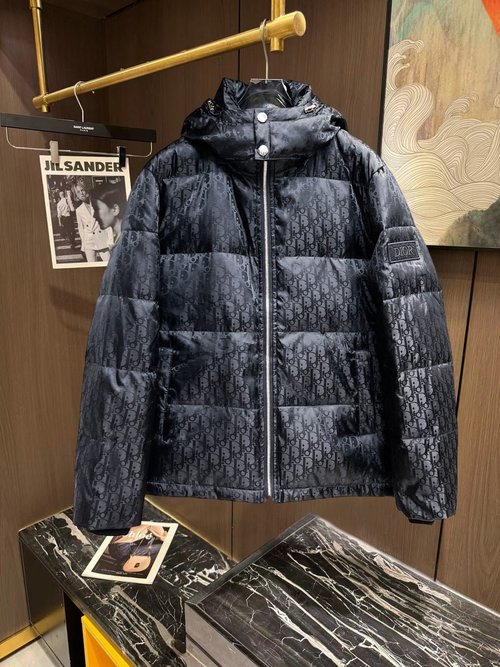 Dior Premium Down Jacket with Logo & Colorful Design