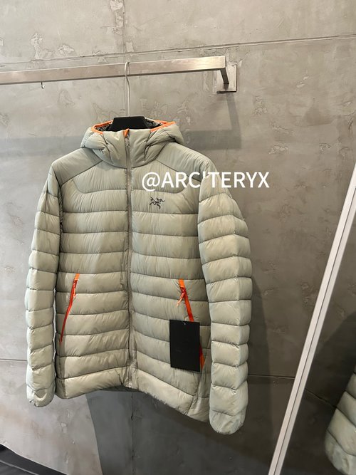 ArcTeryx 850 Fill Power Goose Down Puffer Jacket