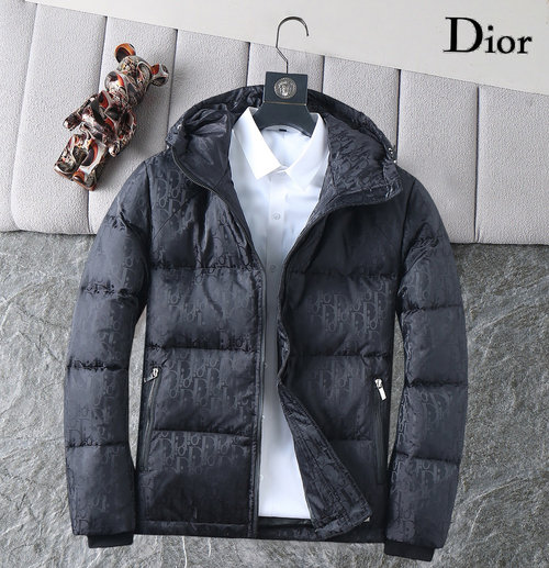 Dior Premium 90% Down Jacket with Logo and Color Blocking