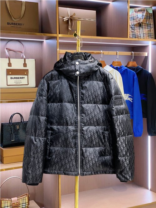 Dior Premium Down Jacket with 90% Down, Logo, and Vibrant Design